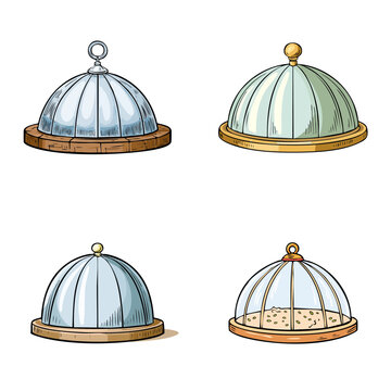 Set of food serving domes and cloches with wooden bases