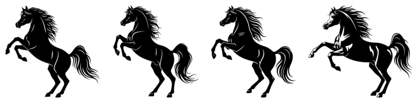 Stallion horse rearing and galloping in powerful silhouette poses