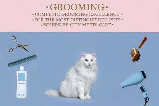 Luxury Cat Grooming Salon Ad: Fluffy White Cat with Professional Tools