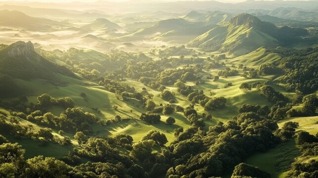 Expansive green valley bathed in soft morning sunlight with rolling hills and scattered trees