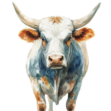 watercolor of Ox, vector clipart, isolated on a white background.