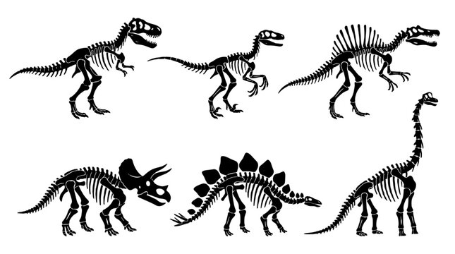 Black dinosaur skeleton silhouettes set on white background