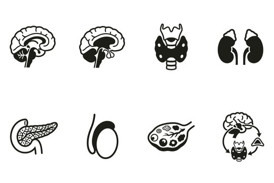 Set of human internal organs icons including brain and pancreas