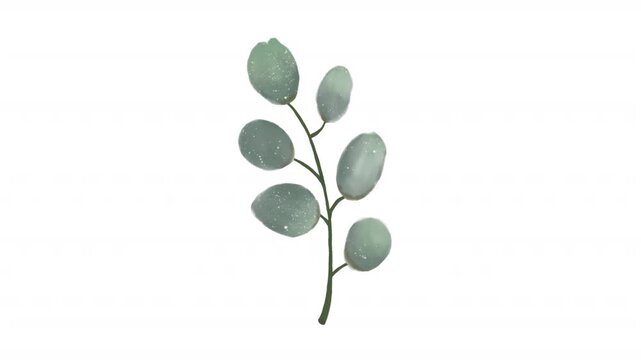 Watercolor floral with eucalyptus branch design suitable for stationery, invitation, greeting cards, and botanical themed products. Perfect for nature loving designs.