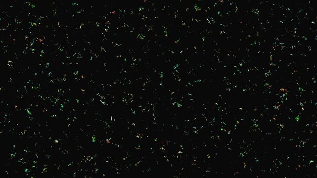 generative cytoskeleton assembly 2d