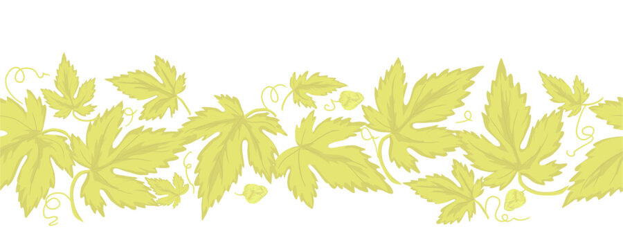 Leaves of grapes or hops. Vector illustration. Seamless horizontal border of green leaves and tendril curls highlighted on a white background. For printing on fabric, postcards, for Oktoberfest