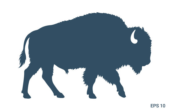 American bison buffalo silhouette side view wild animal icon isolated on white background