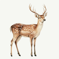 watercolor of Deer, vector clipart, isolated on a white background. © lunaris