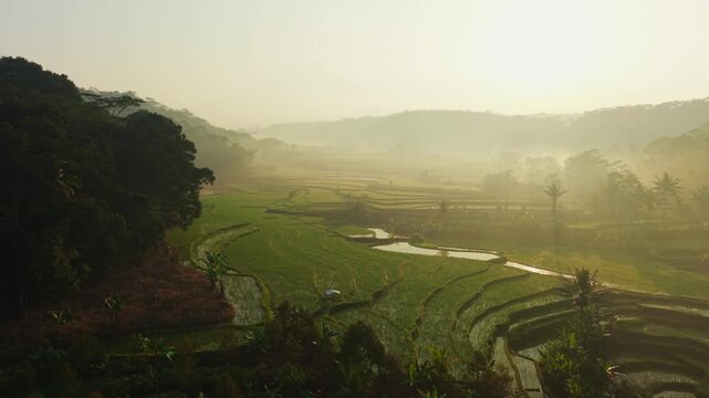 Aerial view of lush green rice terraces surrounded by misty hills and tropical trees during sunrise in Selomerto, Central Java, Indonesia.