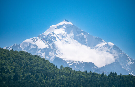 Georgia snowy mountain peak above green forest, Caucasus alpine landscape, adventure travel.