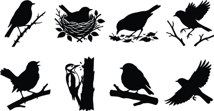 Black silhouette bird and wildlife vector icon set featuring flying nesting and perched songbirds