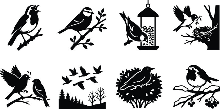 Collection of wild songbird silhouette icons featuring nesting, flying, feeding, and singing birds in nature