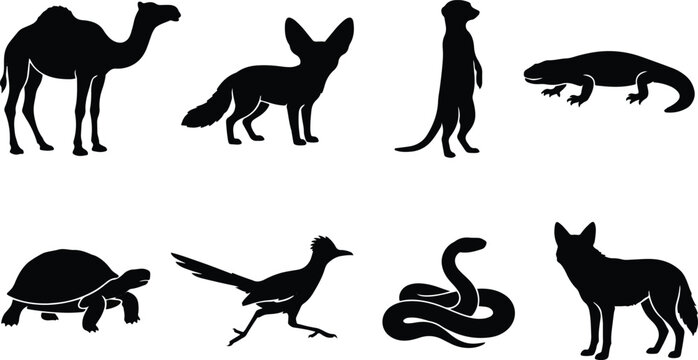 Desert animals silhouette collection featuring camel fennec fox meerkat roadrunner snake and coyote shapes