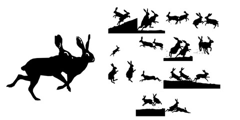 Pair Of Arctic Hares Racing Silhouette © 99___Designer