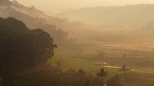 Aerial view of misty rice terraces at sunrise with lush green hills and tropical vegetation in Selomerto, Central Java, Indonesia.