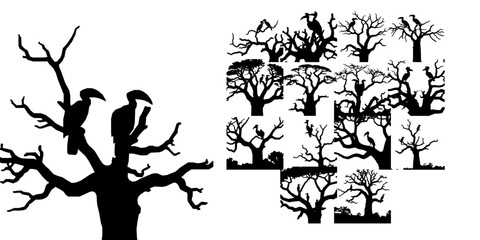 Pair Of Hornbills On A Baobab Tree Silhouette © 99___Designer