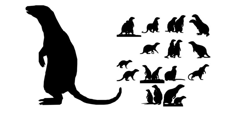 Pair Of Mongooses Silhouette