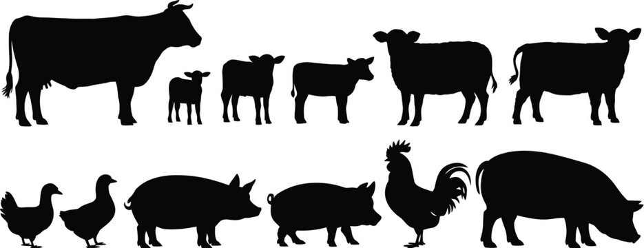 Farm Animal Silhouette Collection Vector Illustration Featuring Cattle Pigs Chickens Isolated on White Background for Agriculture Livestock Design