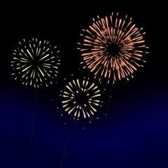 Fototapeta premium Fireworks illustration july celebration new years wallpaper holiday