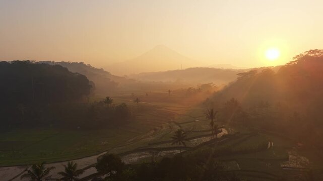 Aerial view of misty rice terraces at sunrise with palm trees and distant mountains in Selomerto, Central Java, Indonesia.