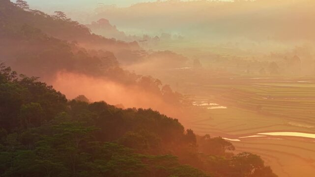 Aerial view of golden sunrise light over misty terraced rice fields and lush hills in Selomerto, Central Java, Indonesia.