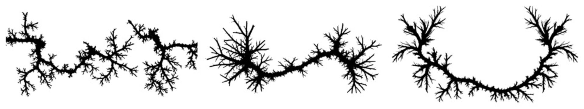 lightning electrical discharge and root branches in organic crack style