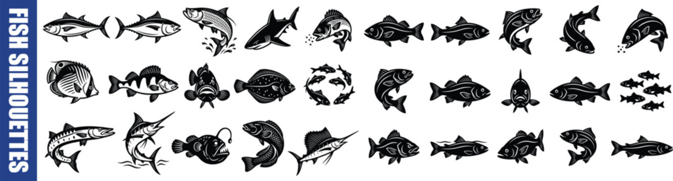 Collection Of Fish Silhouettes Black And White Vector Illustration