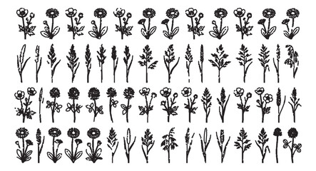 Obraz premium Hand drawn wildflower sketches, set of 60 botanical ink illustrations, rustic black floral vector elements for wedding invitations and branding