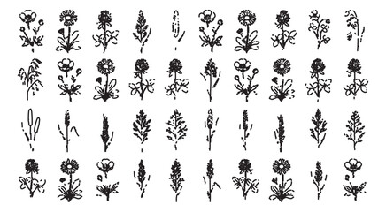 Obraz premium Vintage hand drawn wildflower sketches, set of 40 rustic floral line art icons, black ink botanical illustrations on white background vector