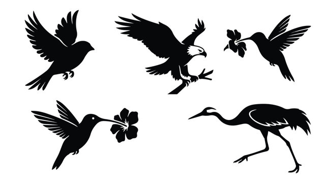 Black bird silhouettes collection, flying eagle and hummingbird vector set, 5 wild bird icons for nature branding and logo design isolated PNG with Transparent Background