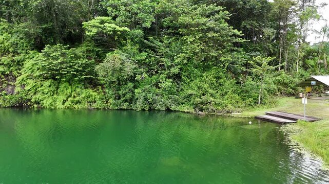 Smooth side drone flight along the tropical forest shoreline of Crique Crabe lake in French Guiana. Calm green water and dense rainforest vegetation create a peaceful natural landscape.