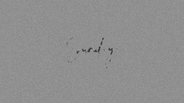 Minimalist Elegant Sunday handwritten animation