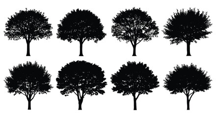 Fototapeta premium Tree Silhouettes Collection On White Background shapes
