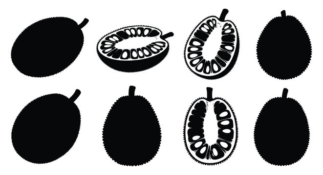 Jackfruit Silhouettes And Cross Sections Black And White Graphic