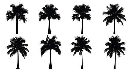Palm tree silhouettes on a white background tropical vegetation collection © Safia512