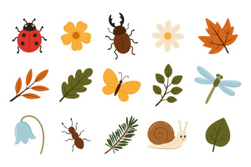Forest insects and autumn leaves element collection. Wild nature ladybug beetle butterfly dragonfly ant snail with flowers oak maple foliage isolated on transparent background. © Mila