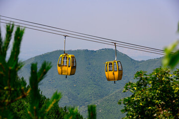 Pair of vivid yellow gondola cable cars suspended on steel cables, framed by blurred pine and bush foliage in the foreground, with rolling green mountain ranges in the background. © Sean Zhang