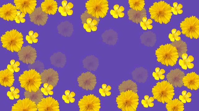Purple Floral Pattern with Yellow Blossoms Background Video