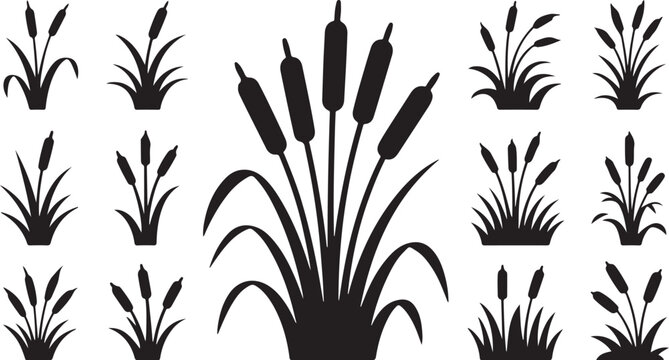 Diverse vector silhouettes of cattail and reed grass for wetland designs