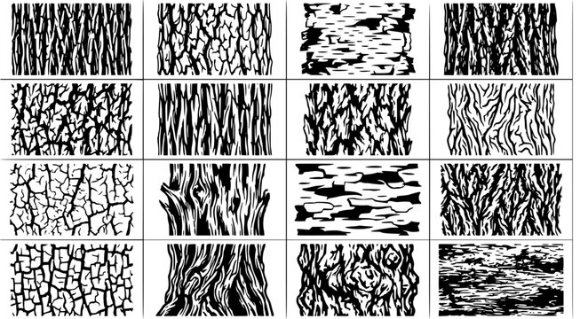 Organic wood grain and tree bark texture patterns in black and white vector style for natural surface backgrounds and forest theme graphic design projects