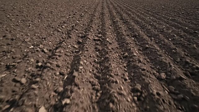 Pattern of soil furrows in a large agricultural field