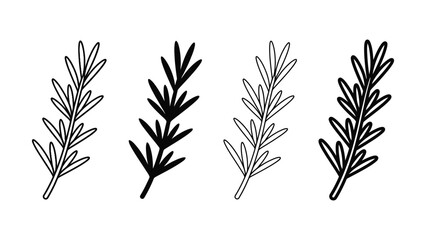Four black and white line art rosemary sprigs on white background © MSTSENOARA