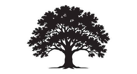 Fototapeta premium Oak Tree Silhouette Against White Background Detailed Branching Pattern