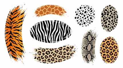 Animal Print Patterns Collection Vector Illustration With White Background © Unknown designer