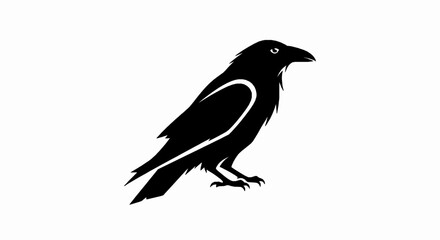 Obraz premium Black raven silhouette