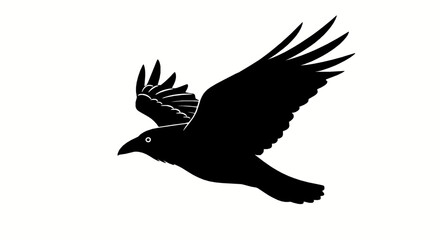 Obraz premium Silhouette of a flying crow