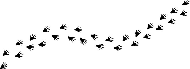 Raccoon Footprint Trail Vector Featuring Wildlife Paw Tracks, Animal Foot Marks, Natural Walking Path, Forest Mammal Prints, and Realistic Track Pattern Design © MDAzizul