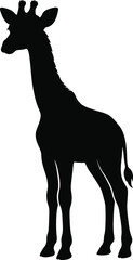 Fototapeta premium Baby Giraffe Standing Silhouette Vector Isolated on White Background