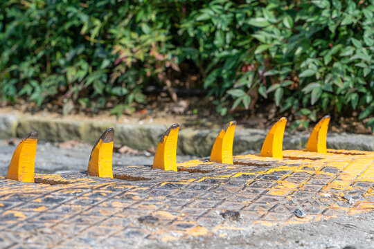 Yellow and black security spike barrier strip installed in front of green hedge bush near a building entrance, urban safety infrastructure.