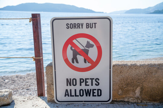 White sign reading Sorry But No Pets Allowed standing on a sandy beach shore with sea in the background